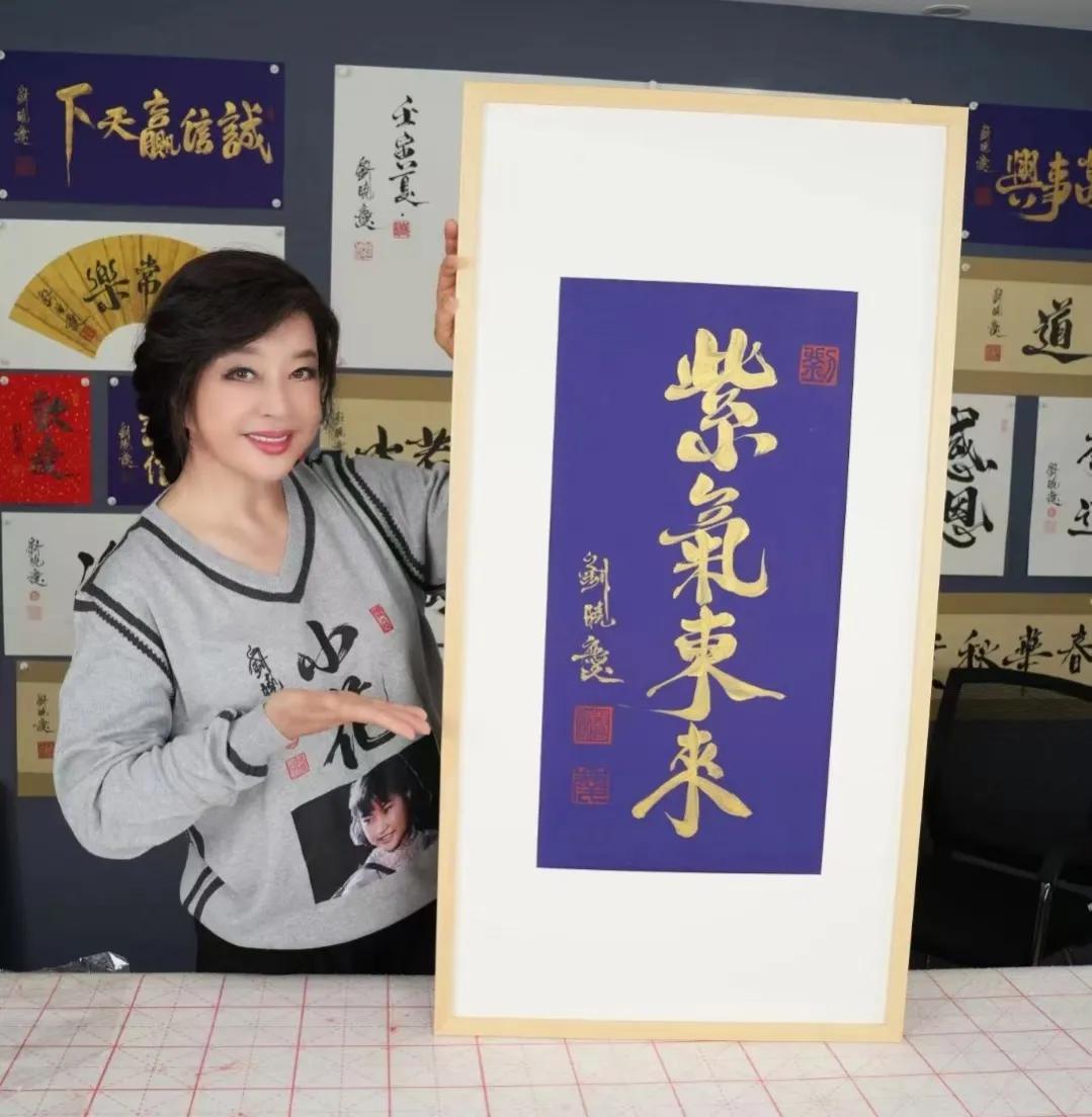 精准的一肖一码，详细解答、前沿解答解释落实
